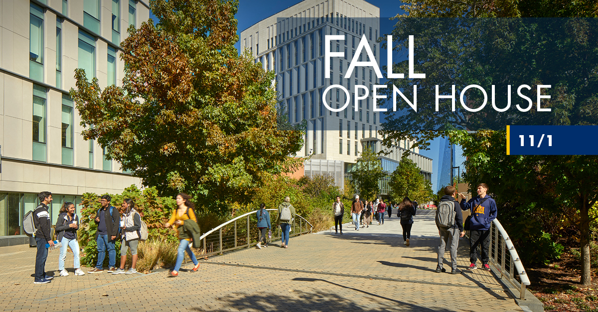 Students meeting on campus quad during autumn